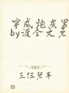 穿成炮灰男妻后by渡全文免费