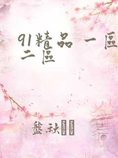 91精品 一区二区