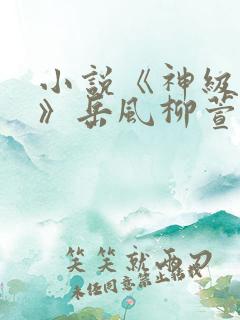 小说《神级狂婿》岳风柳萱