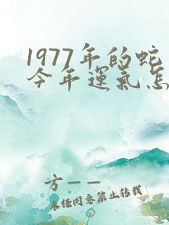 1977年的蛇今年运气怎么样