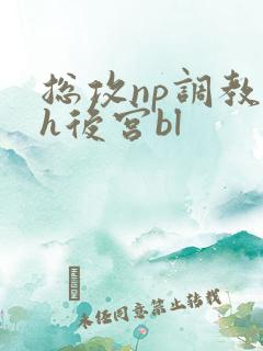 总攻np调教高h后宫bl