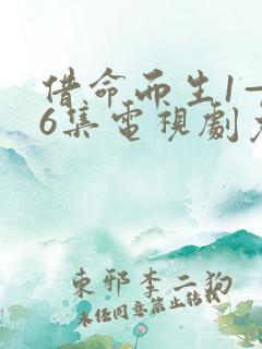 借命而生1—36集电视剧免费