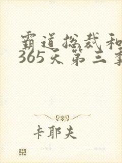 霸道总裁和我的365天第三季