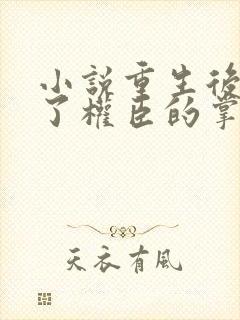 小说重生后我成了权臣的掌中娇免费阅读免费