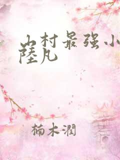 山村最强小神医陆凡