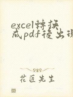 excel转换成pdf后出现了页码