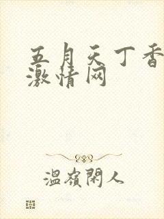 五月天丁香综合激情网