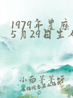 1979年农历5月29日生人的八字