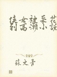 侠女被采花贼玩到高潮小说