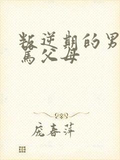 叛逆期的男孩打骂父母