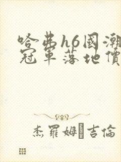 哈弗h6国潮版冠军落地价