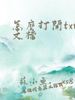 怎么打开txt文档