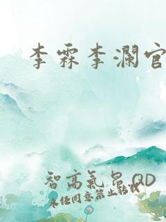 李霖李澜官场