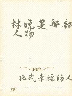 林晚是哪部小说人物