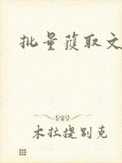 批量获取文件名