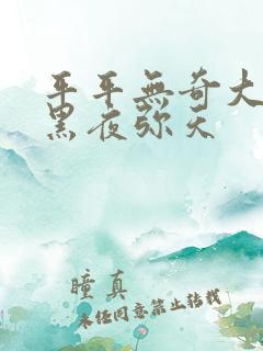 平平无奇大师兄黑夜弥天