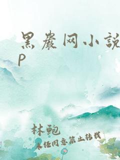 黑岩网小说app