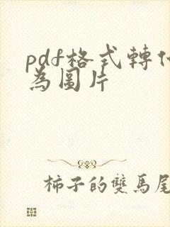 pdf格式转化为图片