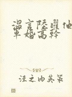 温言陆曜他似火军婚高干