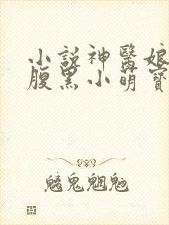 小说神医娘亲之腹黑小萌宝