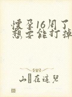 怀孕16周了不想要能打掉吗