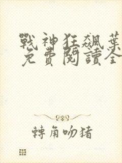 战神狂飙叶无缺免费阅读全集