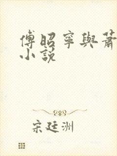 傅昭宁与萧澜渊小说