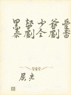 黑帮少爷爱上我泰剧全剧番外