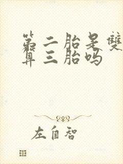 第二胎是双胞胎算三胎吗