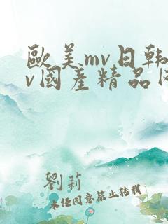 欧美mv日韩mv国产精品网站