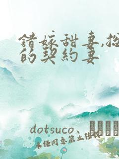 错嫁甜妻,总裁的契约妻