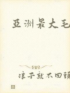 亚洲最大毛片