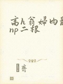 高h翁妇肉乱文np二根