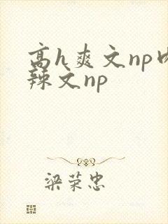 高h爽文np肉辣文np