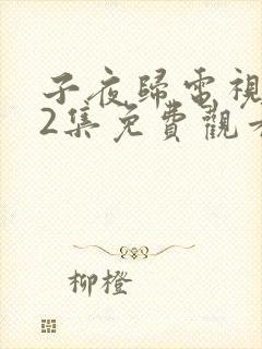 子夜归电视剧12集免费观看全集高清