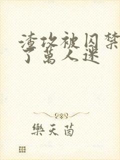 渣攻被囚禁后成了万人迷