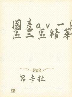 国产aⅴ一区二区三区精华液