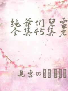 纯爷们儿电视剧全集45集免费