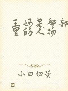 王妈是哪部小说里的人物