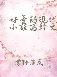 好看的现代言情小说高干文