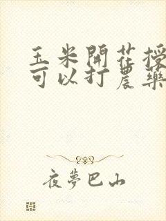 玉米开花授粉期可以打农药吗