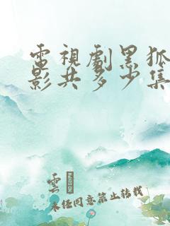 电视剧黑狐之风影共多少集