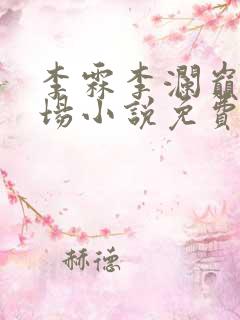李霖李澜巅峰官场小说免费阅读