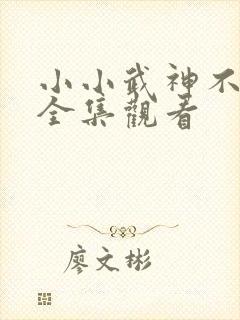 小小武神不好惹全集观看