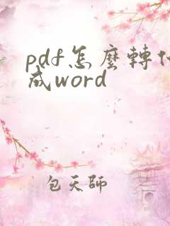 pdf怎么转化成word