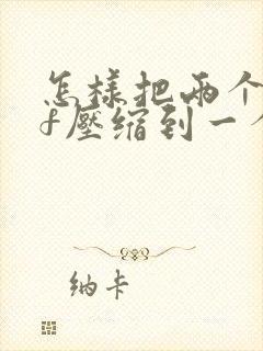 怎样把两个pdf压缩到一个文件
