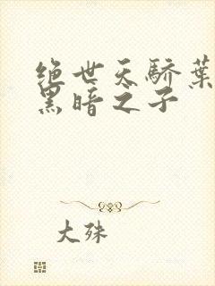绝世天骄叶凌天黑暗之子