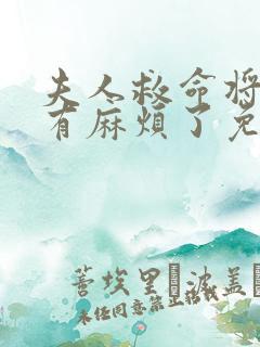 夫人救命将军又有麻烦了免费阅读