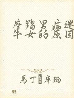 摩羯男痴迷于金牛女的原因