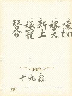 替嫁新娘亿万老公宠上天txt
